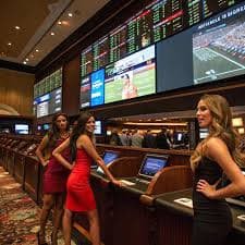 win444 bet win444 bet