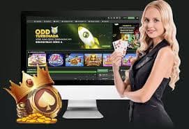 win444 bet