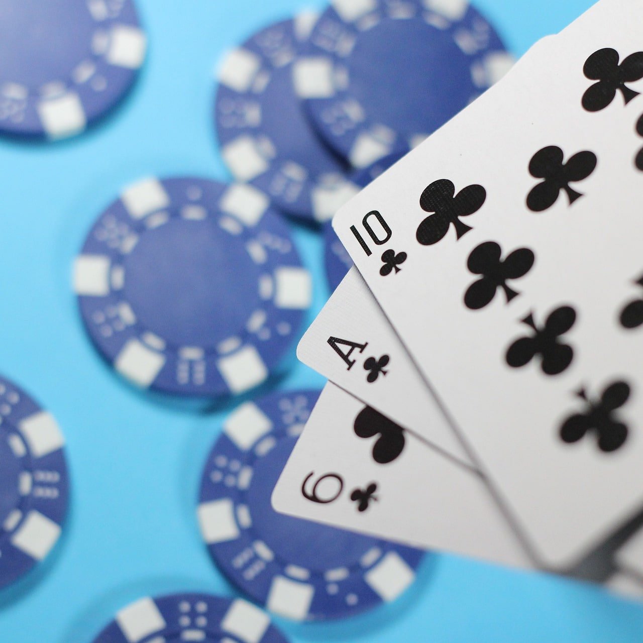 win444 bet win444 bet